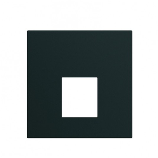 GALLERY płytka czołowa poj. do gniazd RJ45,VDI -zdjęcie numer 1