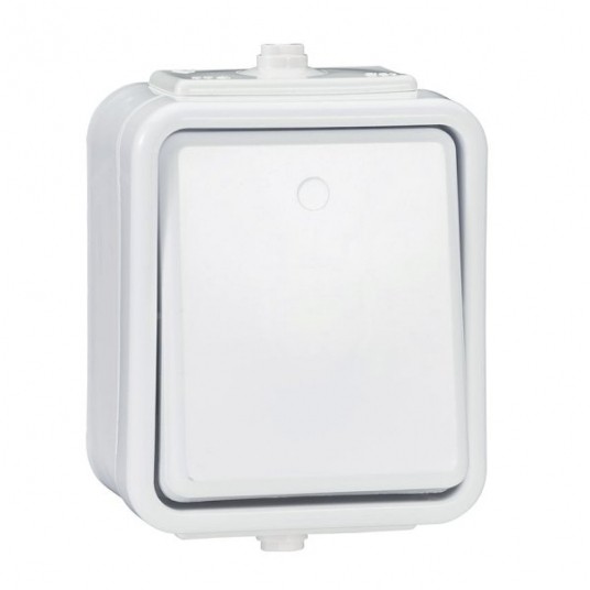 Łącznik 1 biegunowy IP44 CEDAR WNT100C01 natynkowy -zdjęcie numer 1