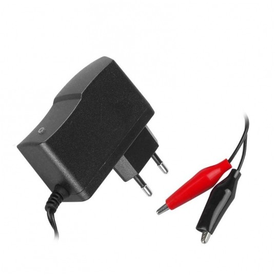 Ładowarka do akumulatorów żelowych 12V 3-9Ah -zdjęcie numer 1