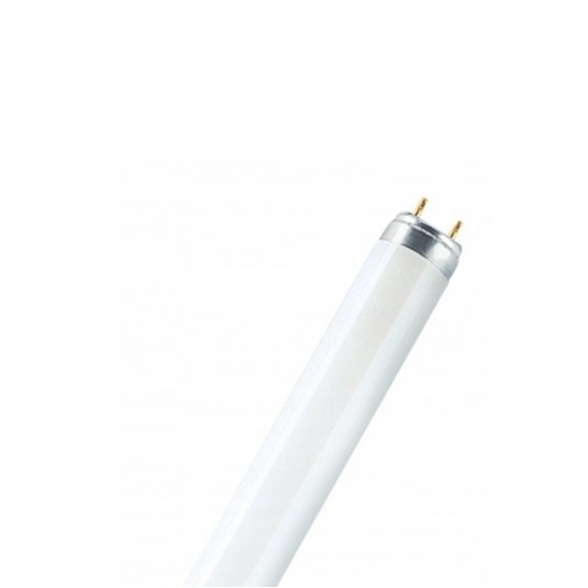 Świetlówka TLD 40W/05 liniowa owadobójcza G13 UV-A -zdjęcie numer 1