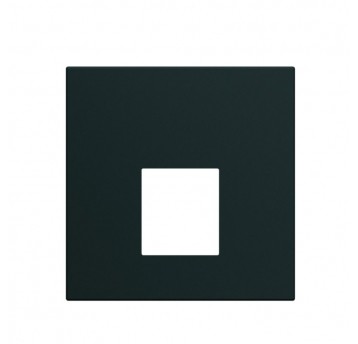 GALLERY płytka czołowa poj. do gniazd RJ45,VDI