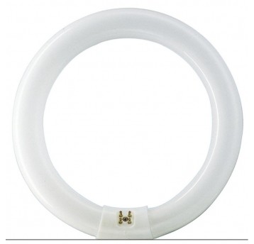 Świetlówka kołowa G10q 32W 840 4000K 32W/840 TLE